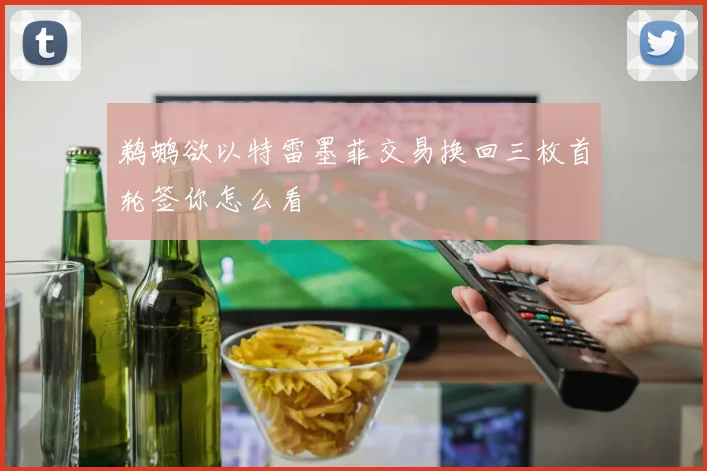 鹈鹕欲以特雷墨菲交易换回三枚首轮签你怎么看