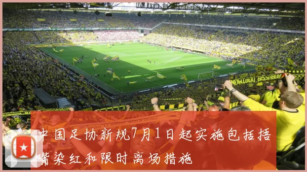 中国足协新规7月1日起实施包括捂嘴染红和限时离场措施